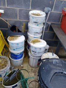 Paimt Shed Clear Out