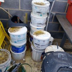 Paimt Shed Clear Out