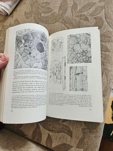 The Working Plant. By D.a. Coult. 1977 Paperback In Good Condition. See Photos For Same.