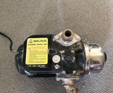 walrus TQ400