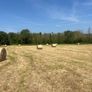 Hay and silage Image 2