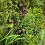 Artificial Wall Grass Image 4