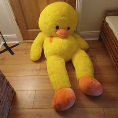 teddy