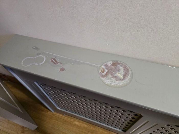 Radiator Cover