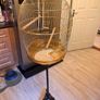 Stunning classic gold large bird cage with stand Image 6