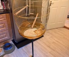 Stunning classic gold large bird cage with stand