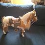 New generation horse Image 2