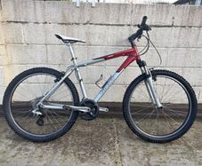 Giant Boulder Mountain Bike