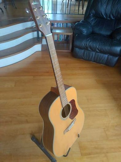 Walden Natura D710 Dreadnought