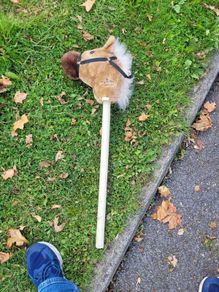 stick horse