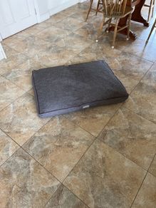 Large Dog Bed