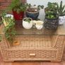 conservatory coffee table Image 2