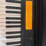 Casio Digital Piano Image 4