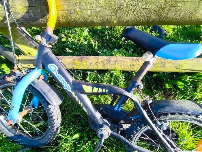 Champion bike