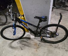 Apollo Phase Kids cycle