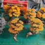 Sylvaneth Army Image 3