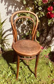 Antique Bentwood Cafe Chair with Original Factory Label Art Nouveau circa 1900 to 1925