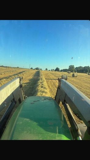 Hay for sale