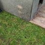 Dog kennel Image 2