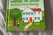 Irish language children's book
