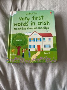Irish language children's book