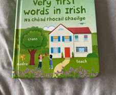 Irish language children's book