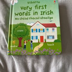 Irish language children's book
