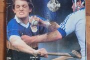 1988 hurling league final programme