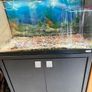 FISH TANK fluval  300 liters with stand complete package Image 4
