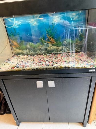 FISH TANK fluval  300 liters with stand complete package