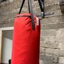Outshock boxing bag and bracket Image 4