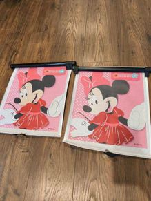 Disney Car Sunshades