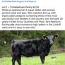 5 Choice Heifers and 6 Select Bulls Image 10