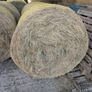 Organic Hay Image 3