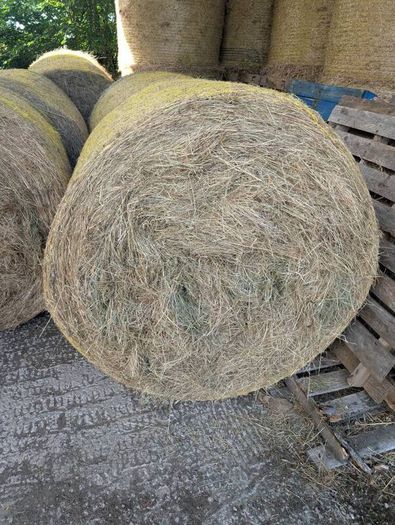 Organic Hay