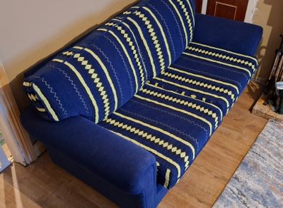 Fold-Out Couch w/ Cover