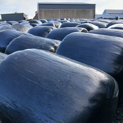 Silage Bales