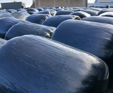 Silage Bales