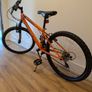 Edgar Verve 24 inch Mountain Bike. Image 2