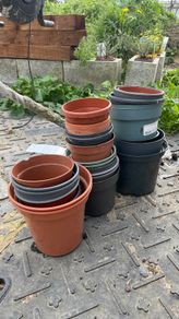Flower Pots