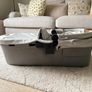 Joie Signature Finiti travel system Image 3