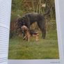The perfect puppy book Image 3