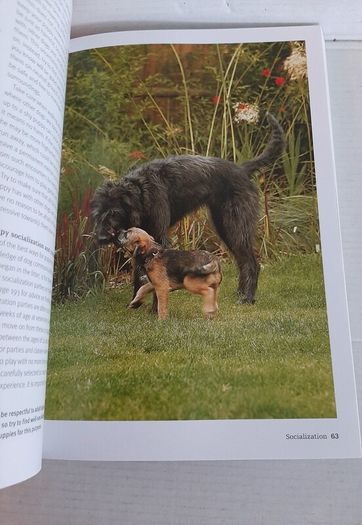 The perfect puppy book