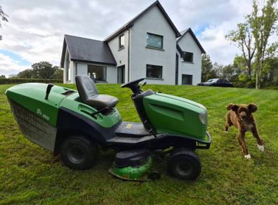Viking Lawnmower