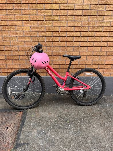 girls bicycle ridgeback