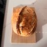 Sourdough starter Image 10