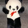 Teddy Image 2