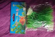 Aquarium plants