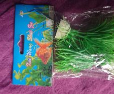 Aquarium plants
