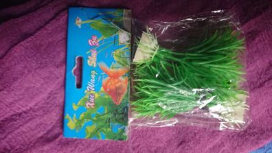 Aquarium plants